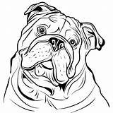 English bulldog Outline All Vector Perfect For Any Type Of  Etsy España sketch template