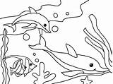 Free Printable Ocean Coloring Pages For Kids sketch template