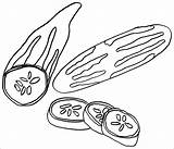 Cucumbers Coloring Pages  ColoringBay sketch template