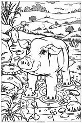 47 pig coloring Pages Free PDF & PNG Printables sketch template
