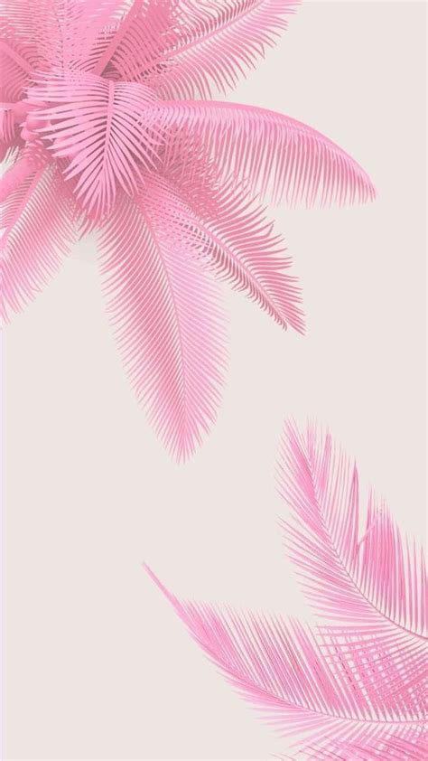 Pink Background Pink Palm Leaves Drawing Aesthetic Iphone In 2020. Pink ...