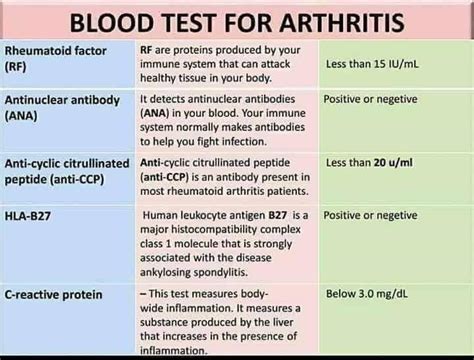 What Is A Hematology Profile Blood Test - John Wade Bruidstaart