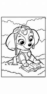 Paw Patrol Sky Coloring Sheets Pages Sketch Coloring Page sketch template