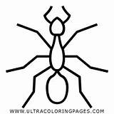 Ant Coloring Page  Ultra Pages sketch template