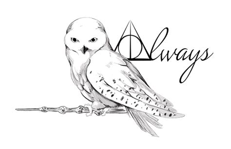 Owl Tattoo Design on Behance