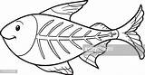Coloring Book X Ray Fish Stock Clipart  Royalty Free FreeImages sketch template