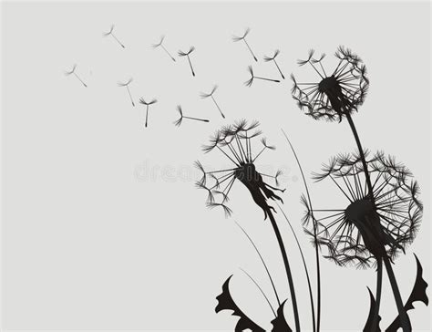 Dandelion Silhouette stock illustration. Illustration of natural - 35500769