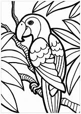 Parrot  Bird Coloring Pages for Kids sketch template