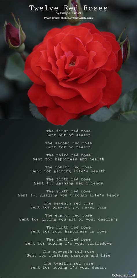 Roses Meaning and Symbolism - TheLandofColor.com