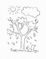 Tree Coloring Pages Free Printable PDF sketch template
