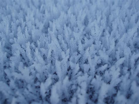 Photo of Winter Frost | Free christmas images