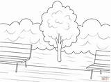 Tree In A Park coloring page  Free Printable Coloring Pages sketch template