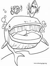 Free Finding Nemo Dory Coloring Pages Download  sketch template