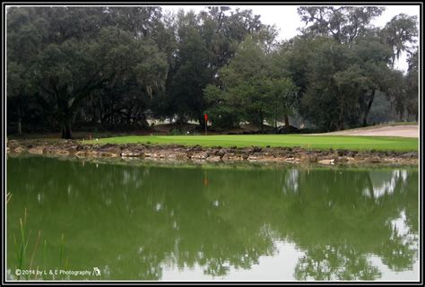 Ocala, Central Florida & Beyond: Pond - Preserve of Spruce Creek Golf ...