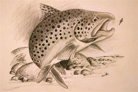 a pencil drawing of a fish on the ground