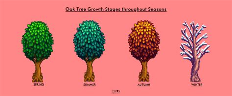 Ultimate Guide to Growing Oak Trees in Stardew Valley - Pigtou