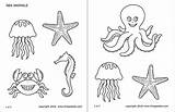 Ocean Animals Coloring Pages sketch template