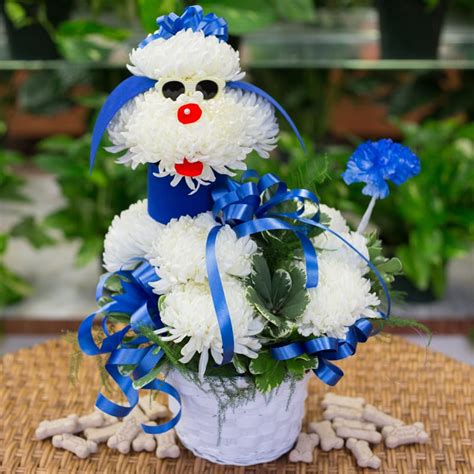 Poodle in Dorchester, MA | Lopez The Florist