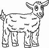 Baby Goat Isolated Coloring Page For Kids 17197850 Vector Art At Vecteezy sketch template