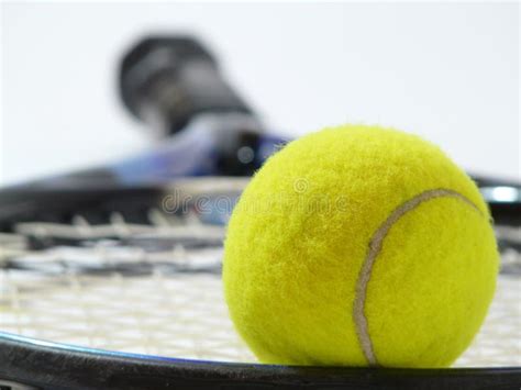 Close up of a tennis ball stock photo. Image of serve - 7526930