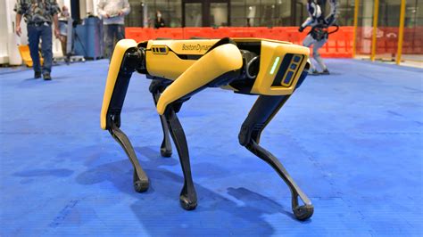 N.Y.P.D.’s Robot Dog Returns to Work, Touching Off a Backlash - The New York Times