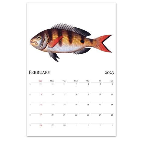 2023 Wall Calendar Fish Calendar 2023 Calendar Retro - Etsy