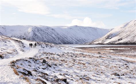 Cairngorm Excursions - Cairngorm Lodges