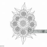 Sunflower Coloring Page Pencil Drawing Of Vector Design And Blooming  sketch template