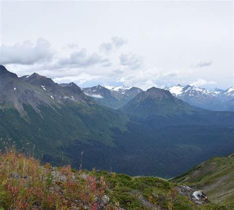 KACHEMAK BAY STATE PARK (2024) All You Need to Know BEFORE You Go (with Photos) - Tripadvisor