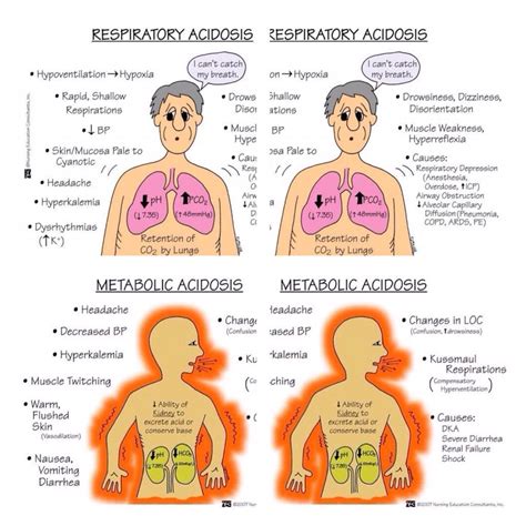 Metabolic Acidosis/Respiratory Acidosis | Nursing school survival ...