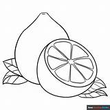 Lemon Fruit Coloring Pages Sketch Page sketch template