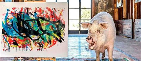 Le cochon Pigcasso devient l’artiste le mieux coté de son espèce