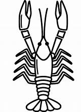 Crawfish Coloring Page  ColouringPages sketch template