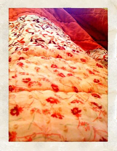 Comforter | Playing around with the new Camera+ app. My belo… | Flickr