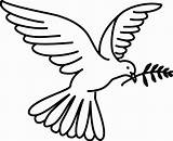 Free White Dove Coloring Page Download  sketch template