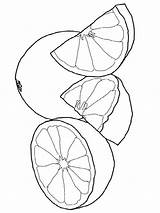 Grapefruit Tree Coloring Page  Book Free Download sketch template