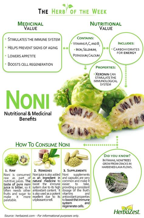 Infographic: Noni | Fruit health benefits, Nutrition, Health food