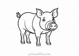 Fun And Free Pig Coloring Page For Kids  Printable Sheet sketch template