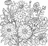 Garden Coloring Design  Premium AI Generated Image sketch template