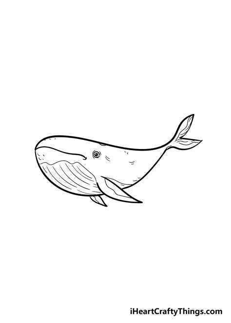 Whale Drawing - How To Draw A Whale Step By Step!