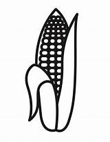 Printable Corn On The Cob Coloring Pages sketch template