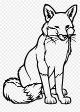 Red Fox Coloring Page HD Png Download  vhv sketch template