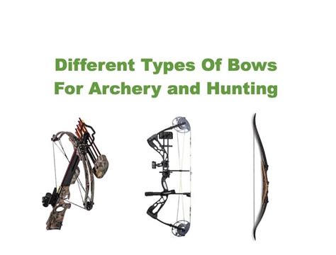 Different Types Of Bows For Archery and Hunting