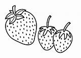 Berry Coloring Pages sketch template
