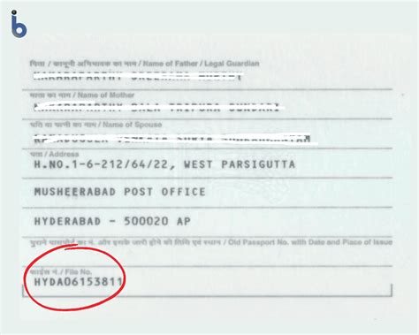 How To Check Passport Number Through Cnic - Printable Online