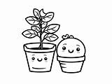 Easy Potato Plant Coloring Page  sketch template