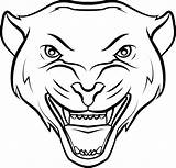 Panther Drawing Coloring Panthers Pages Animal Spiderman Kids Drawings  sketch template
