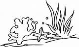Seaweed Coloring Pages  ClipArt Best sketch template
