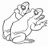 Free Frogs To Color Download Png Images  sketch template