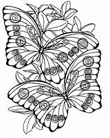 Large Coloring Pages Printable sketch template